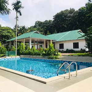 Green Aura By Bob Hotel