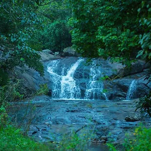 Wild Courtyard Resort