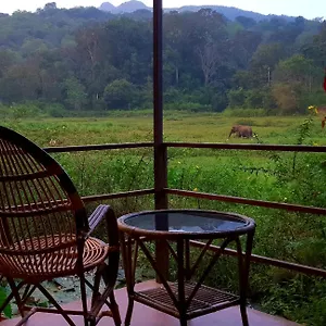 Jungle Retreat Lodge