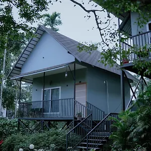 Mountain Vibes Bed & Breakfast