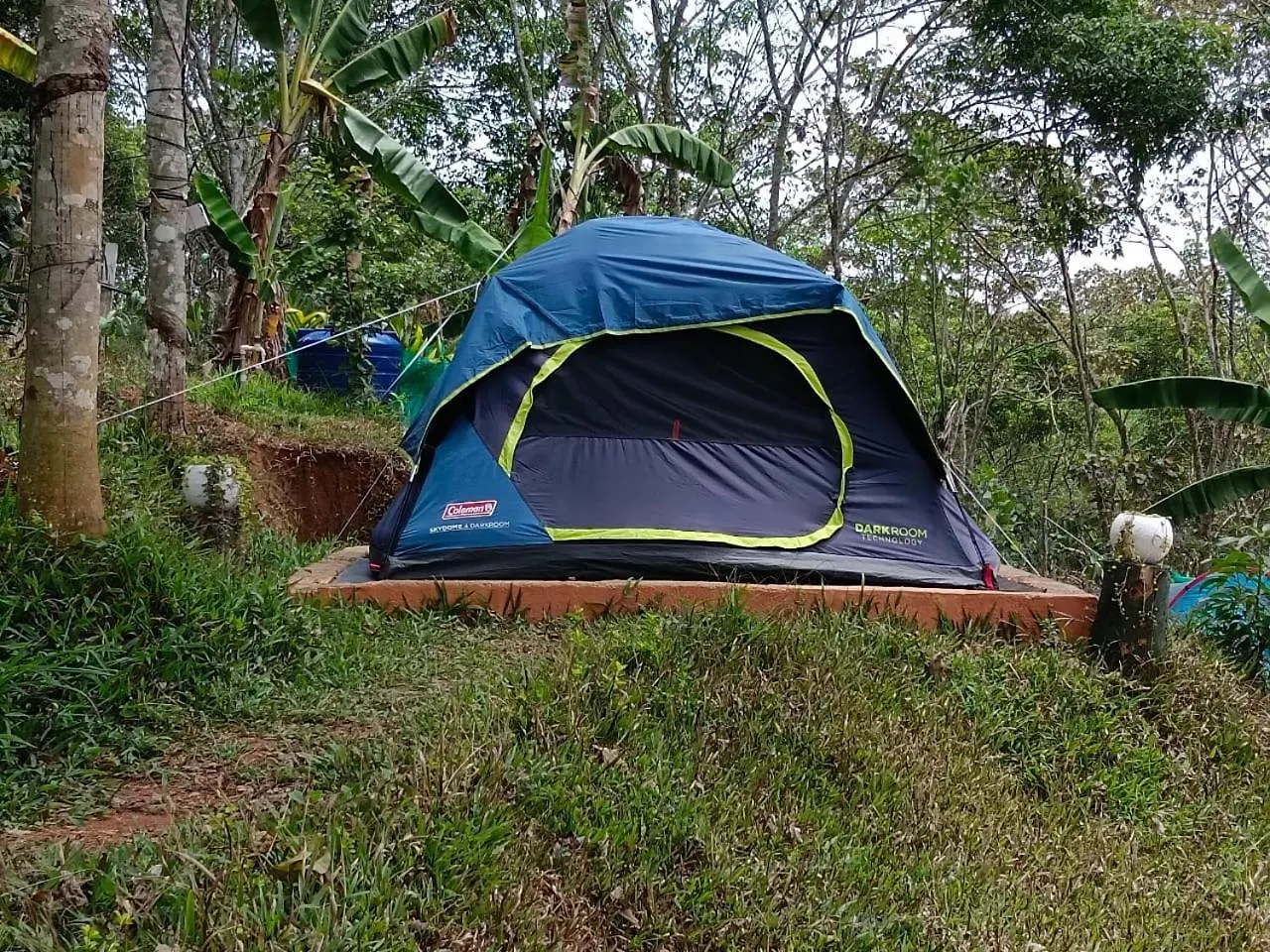 Farm stay Agronest Farm & Resort By Teal Luxury Stay Wayanad