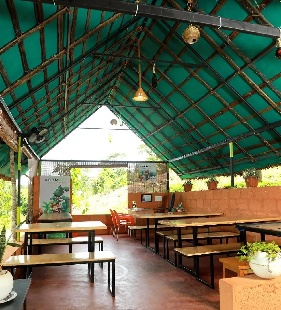 Agronest Farm & Resort By Teal Luxury Stay Wayanad