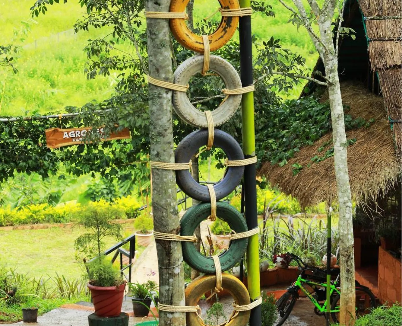 Agronest Farm & Resort By Teal Luxury Stay Wayanad Farm stay