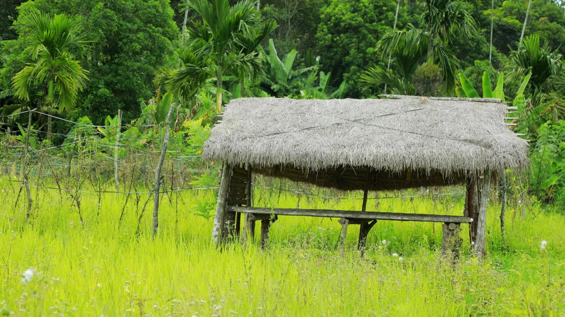 Farm stay Agronest Farm & Resort By Teal Luxury Stay Wayanad India
